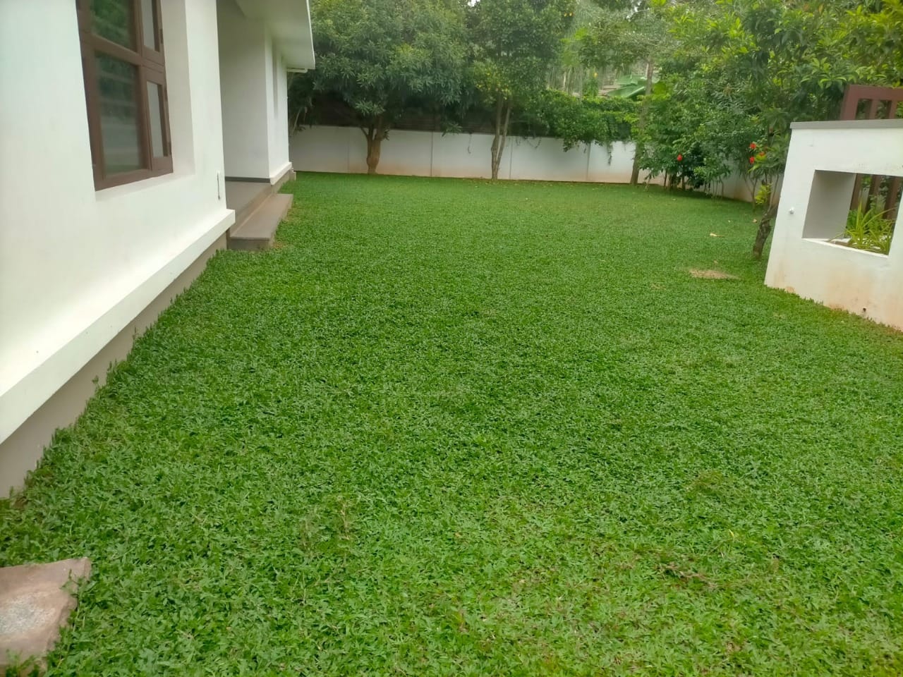 Noel Villa